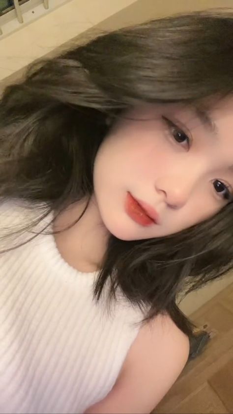 美人为馅电视剧免费观看完整版